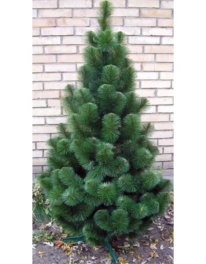 сумка Emporio Arm